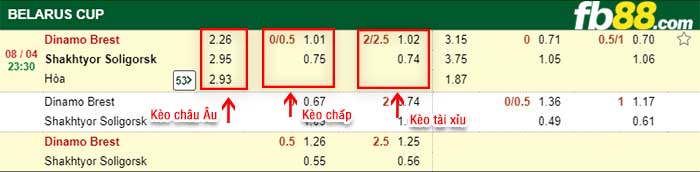 fb88-tỷ lệ kèo chấp Dinamo Brest vs Shakhtyor Soligorsk
